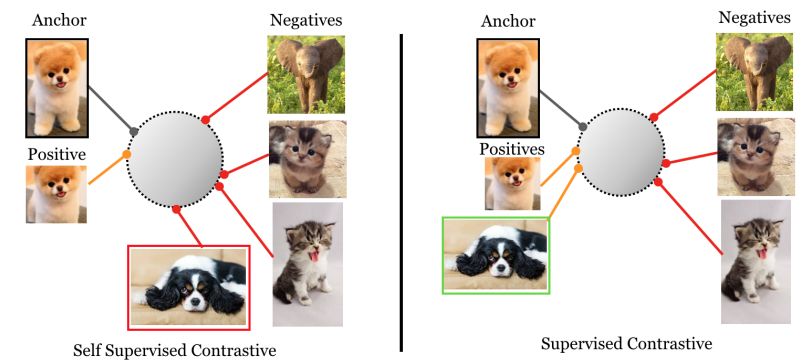 Supervised vs. self-supervised contrastive learning