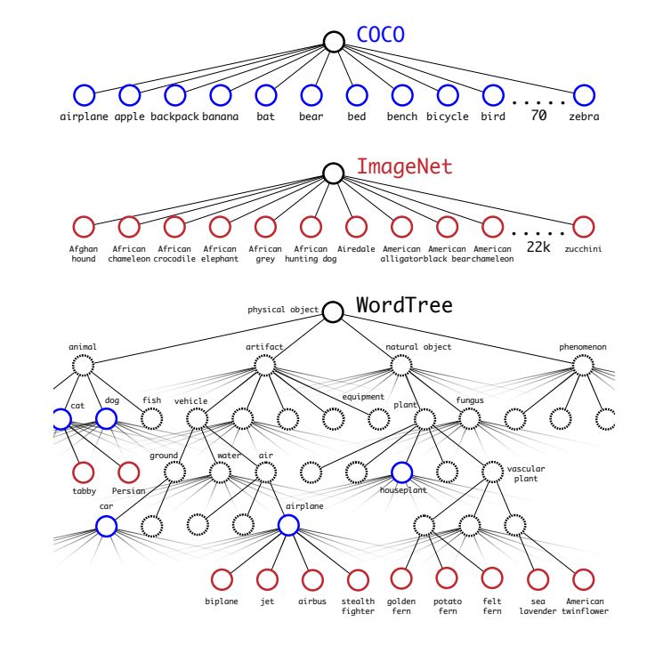 The YOLO v2 WordTree hierarchy.