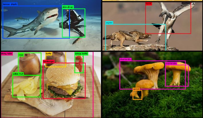 yolov2 object detection in action