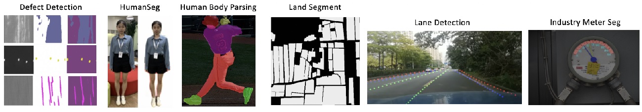 An Example Use Case of PaddleSeg Applications 